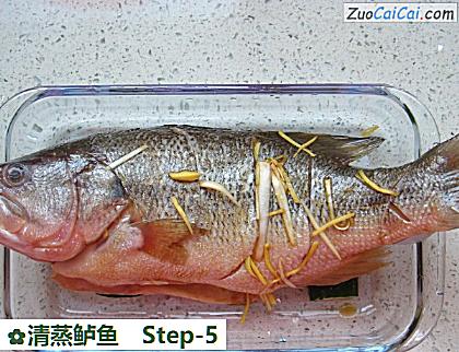 清蒸鲈鱼做法第五步骤