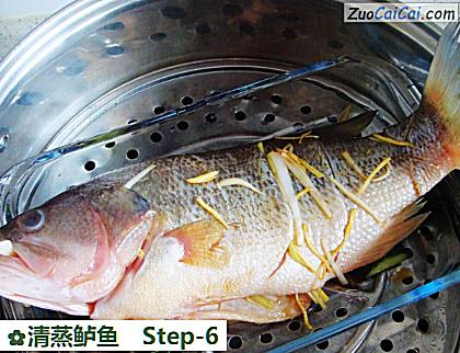 清蒸鲈鱼做法第六步骤