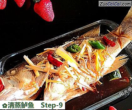 清蒸鲈鱼做法第九步骤