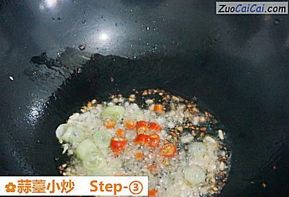 蒜薹小炒做法第三步骤