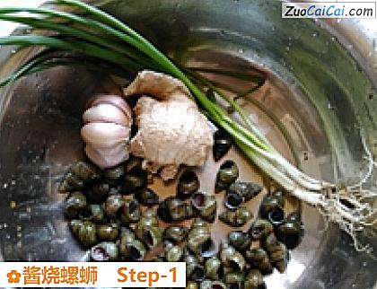 酱烧螺蛳做法第一步骤