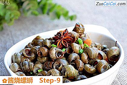 酱烧螺蛳做法第九步骤