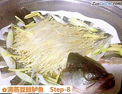 清蒸豆豉鲈鱼做法第八步骤