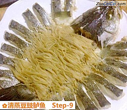 清蒸豆豉鲈鱼做法第九步骤