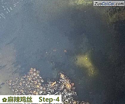 麻辣鸡丝做法第四步骤