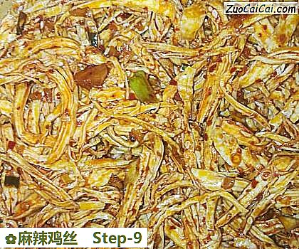 麻辣鸡丝做法第九步骤