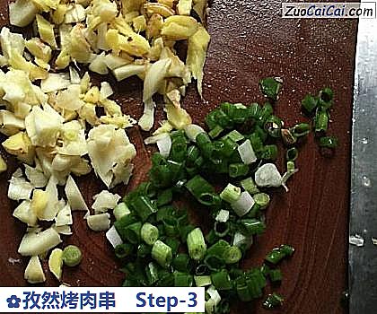 孜然烤肉串做法第三步骤