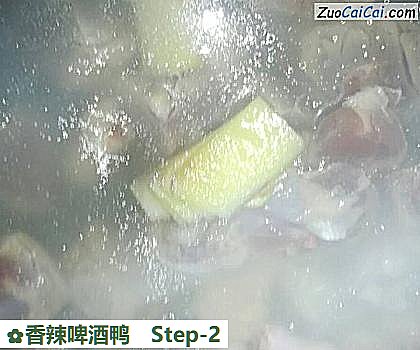 香辣啤酒鸭做法第二步骤