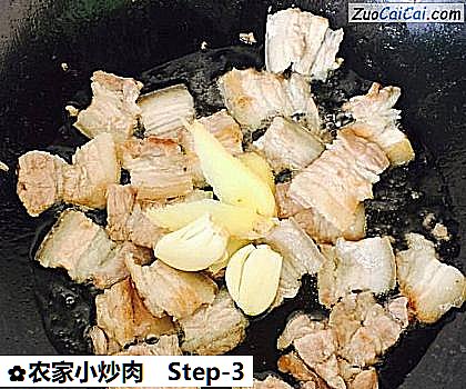 农家小炒肉做法第三步骤