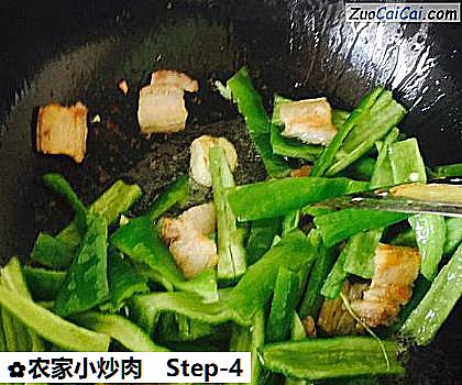 农家小炒肉做法第四步骤