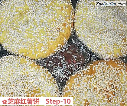 芝麻红薯饼做法第十步骤
