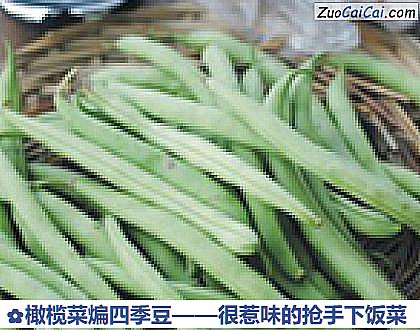 橄榄菜煸四季豆做法第一步骤