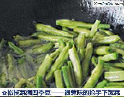橄榄菜煸四季豆做法第三步骤
