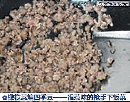 橄榄菜煸四季豆做法第五步骤