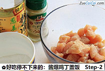 好吃停不下来的:酱爆鸡丁盖饭做法第二步骤