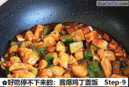 好吃停不下来的:酱爆鸡丁盖饭做法第九步骤