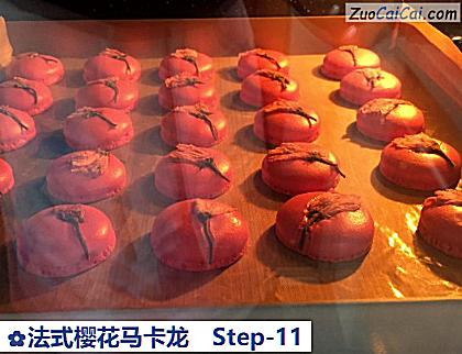 法式樱花马卡龙做法第十一步骤