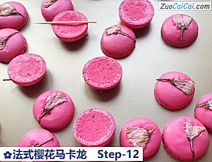 法式樱花马卡龙做法第十二步骤
