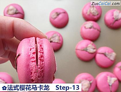 法式樱花马卡龙做法第十三步骤