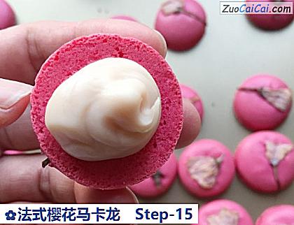 法式樱花马卡龙做法第十五步骤