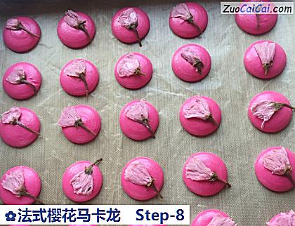 法式樱花马卡龙做法第八步骤