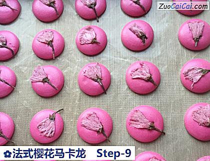 法式樱花马卡龙做法第九步骤