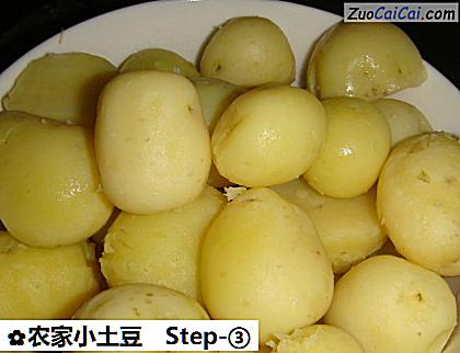 农家小土豆做法第三步骤