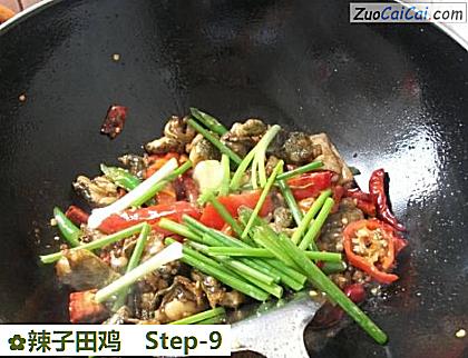 辣子田鸡做法第九步骤