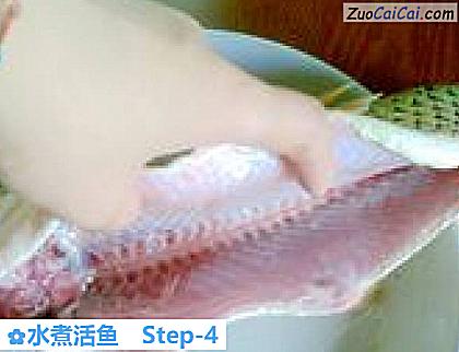 水煮活鱼做法第四步骤