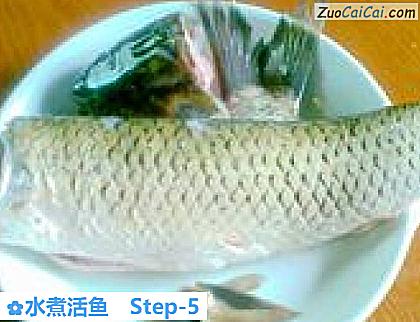 水煮活鱼做法第五步骤