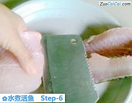水煮活鱼做法第六步骤