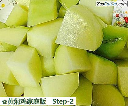 黄焖鸡家庭版做法第二步骤