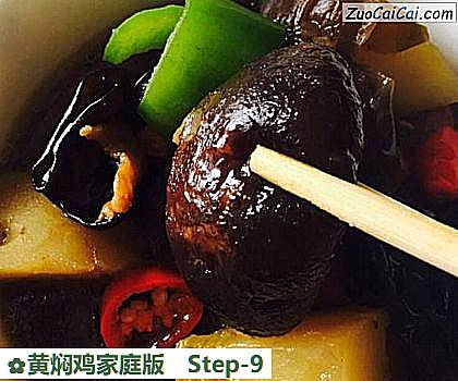 黄焖鸡家庭版做法第九步骤