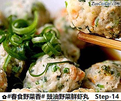 豉油野菜鲜虾丸做法第十四步骤