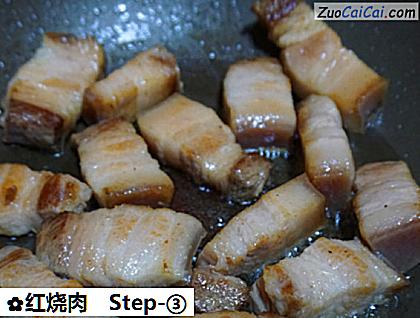 红烧肉做法第三步骤