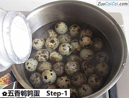 五香鹌鹑蛋做法第一步骤