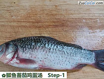 鲫鱼蕃茄鸡蛋汤做法第一步骤