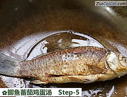 鲫鱼蕃茄鸡蛋汤做法第五步骤