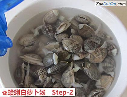 蛤蜊白萝卜汤做法第二步骤