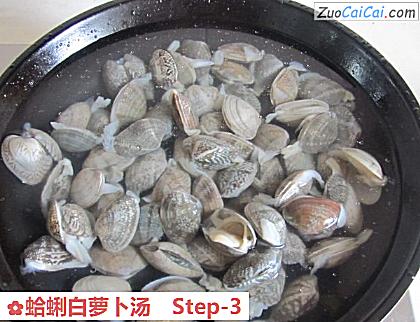 蛤蜊白萝卜汤做法第三步骤
