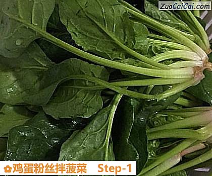 鸡蛋粉丝拌菠菜做法第一步骤