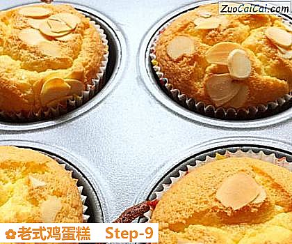 老式鸡蛋糕做法第九步骤