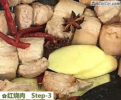 红烧肉做法第三步骤