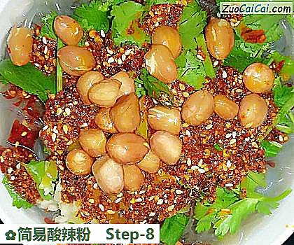 简易酸辣粉做法第八步骤