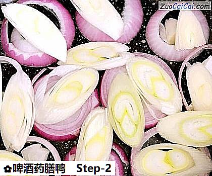 啤酒药膳鸭做法第二步骤