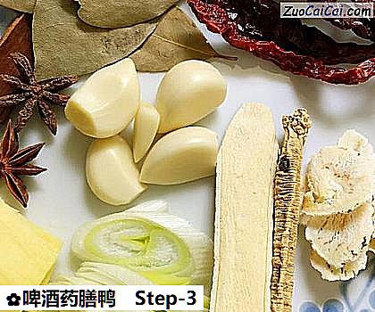 啤酒药膳鸭做法第三步骤