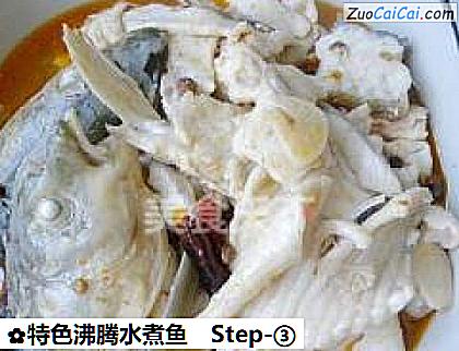特色沸腾水煮鱼做法第三步骤