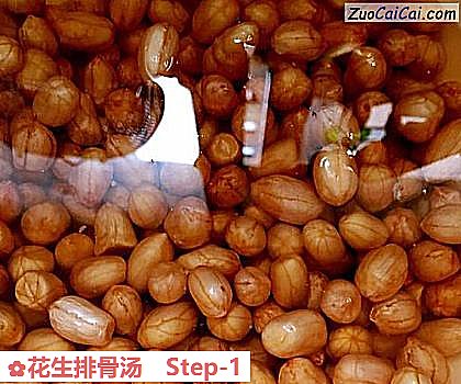 花生排骨汤做法第一步骤