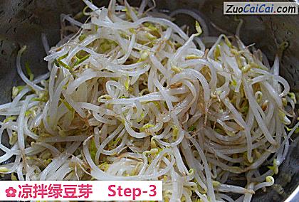 凉拌绿豆芽做法第三步骤