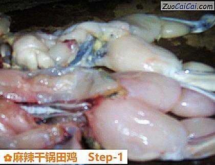 麻辣干锅田鸡做法第一步骤